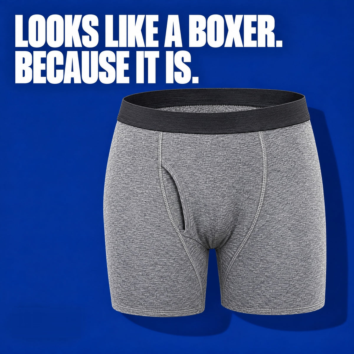 Looks like a boxer